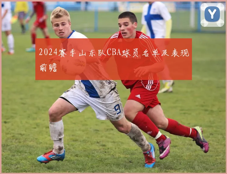 2024赛季山东队CBA球员名单及表现前瞻